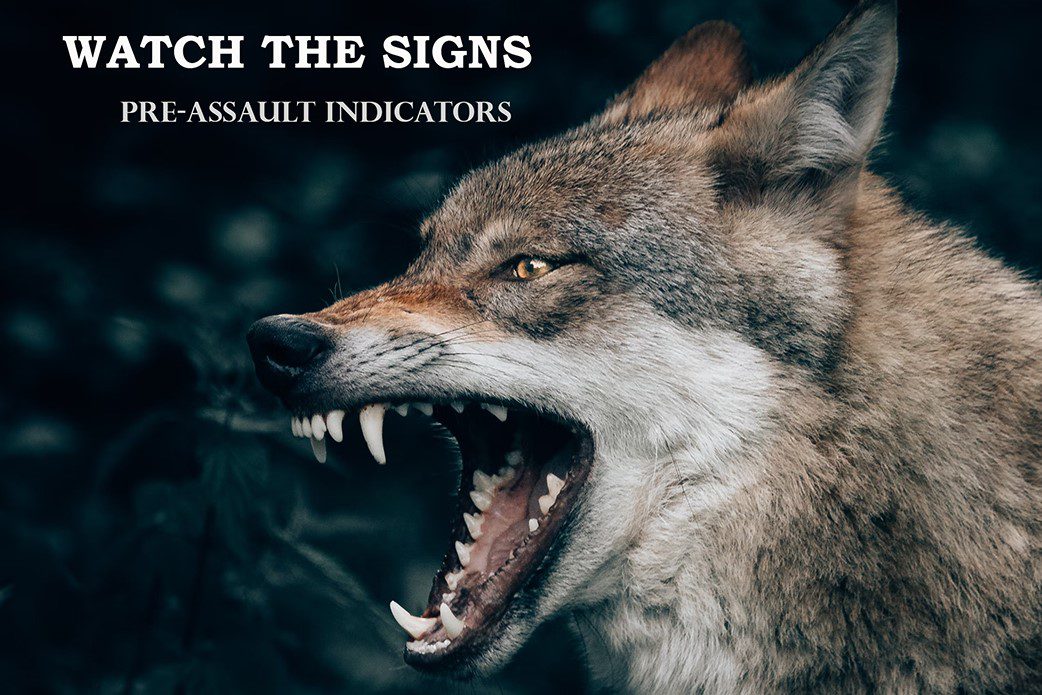 Situational Awareness: Pre-Assault Indicators ⋆ AR15NEWS.COM